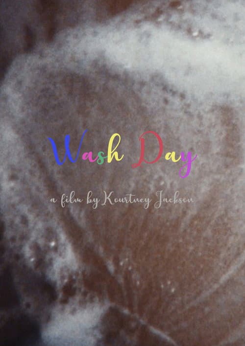 Wash Day poster