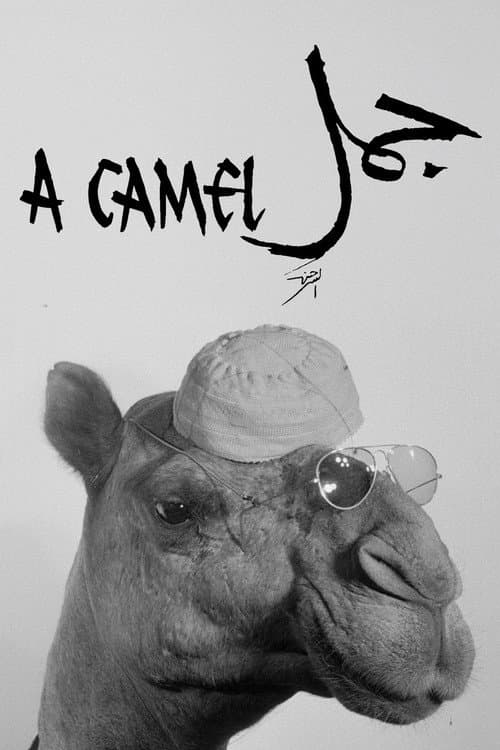 A Camel poster