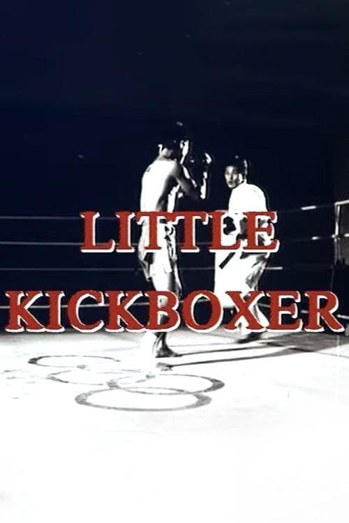 Thunder Ninja Kids: Little Kickboxer poster