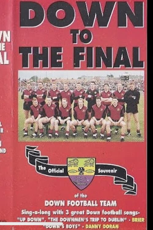 Down To The Final poster