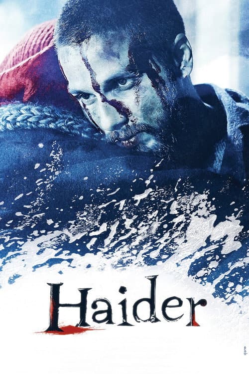 Haider poster