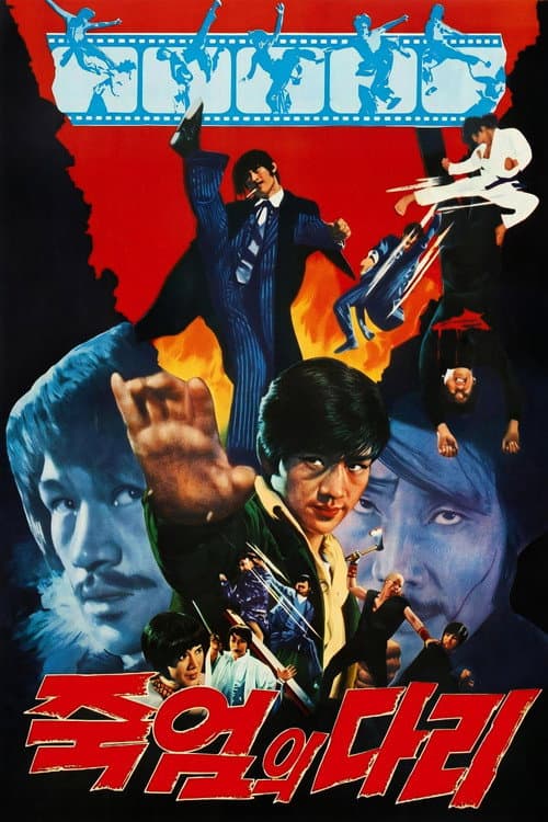 Bridge of Death poster