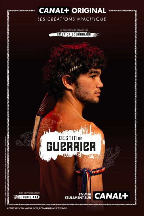 Destin de guerrier poster