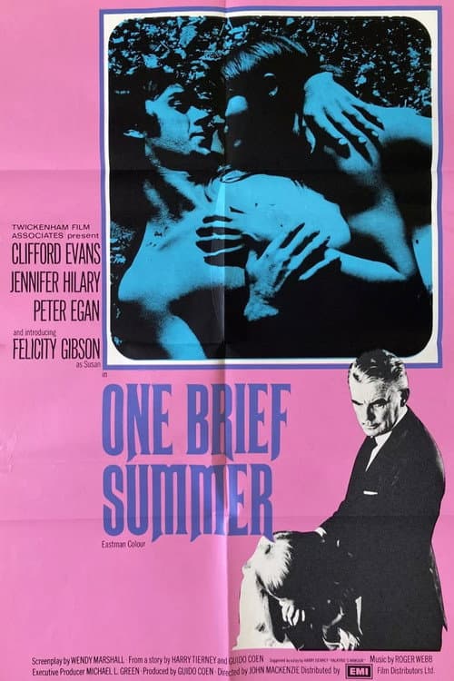 One Brief Summer poster