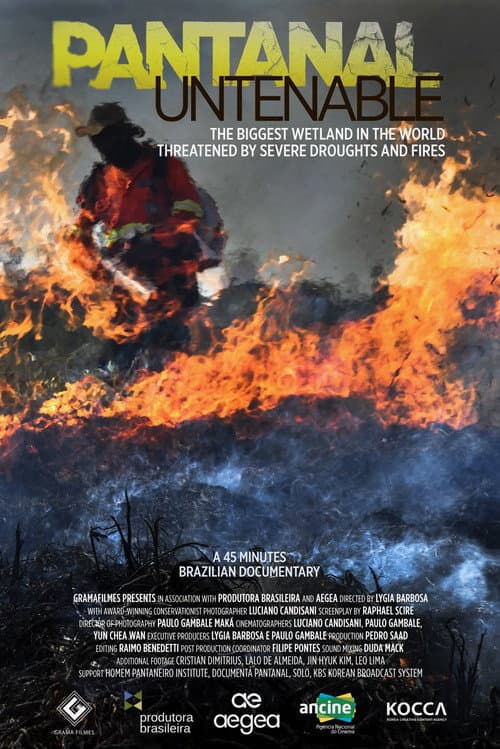 Untenable Pantanal poster