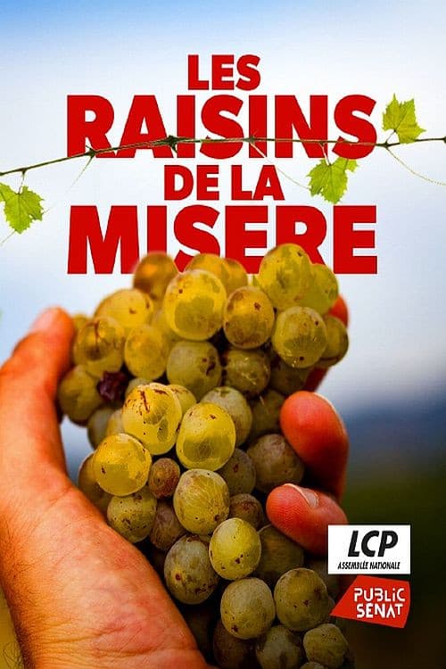 Les raisins de la misère poster