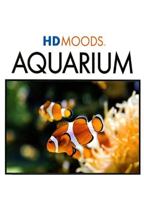HD MOODS: AQUARIUM poster