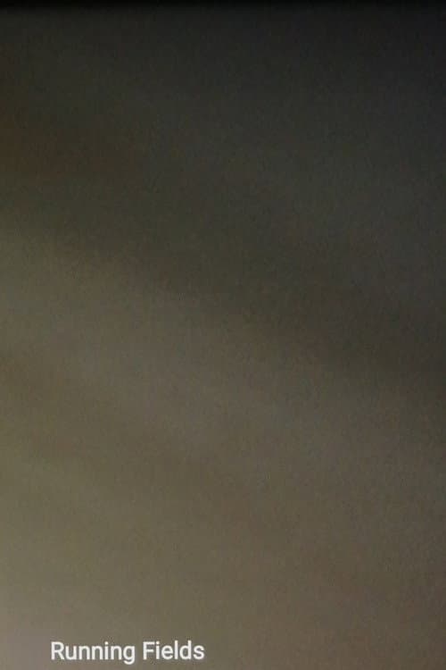 Running Fields poster