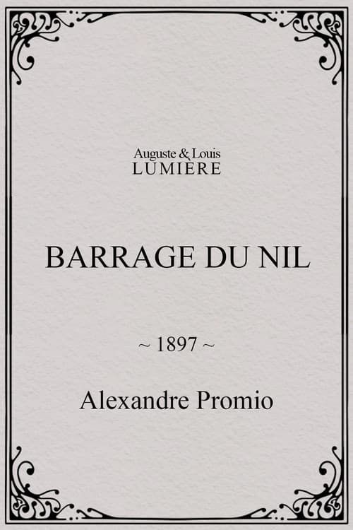 Barrage du Nil poster