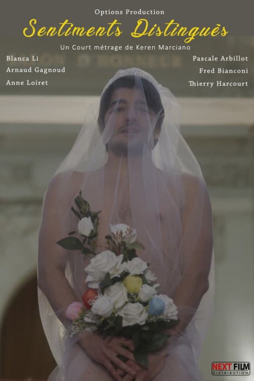 Distinguished Feelings poster