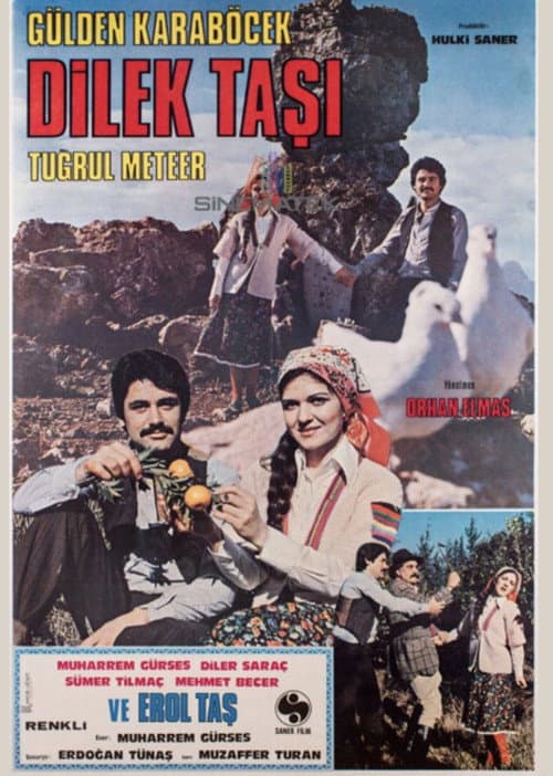 Dilek Taşı poster