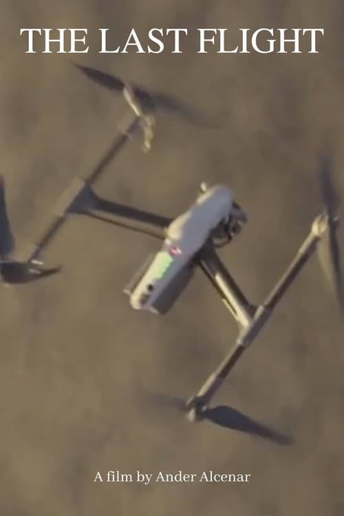 The Last Flight poster