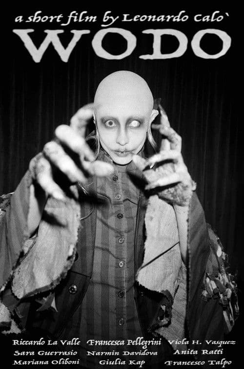 Wodo poster