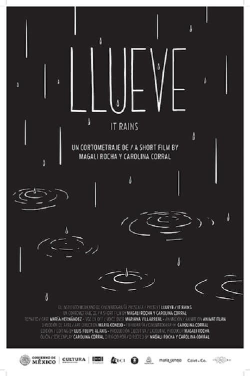 It Rains poster