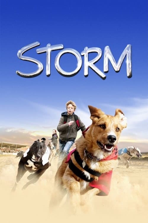 Storm poster