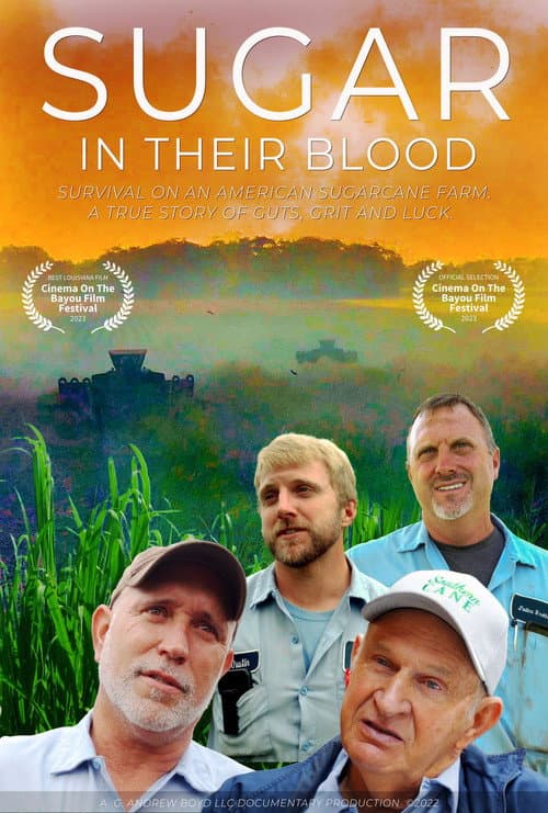 Sugar in Their Blood poster