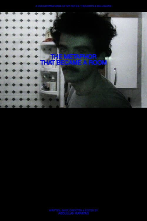 The Metaphor That Became a Room poster