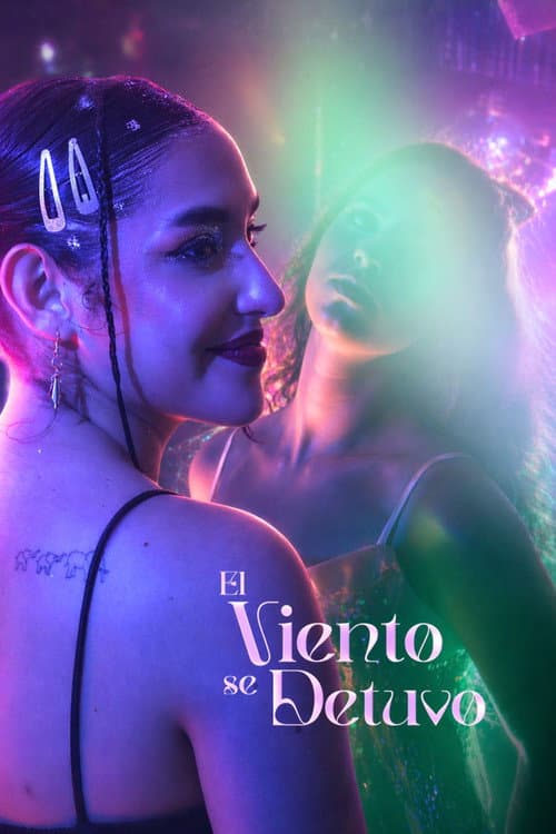 The Wind Stopped poster