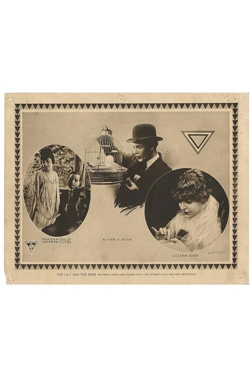 The Lily and the Rose poster