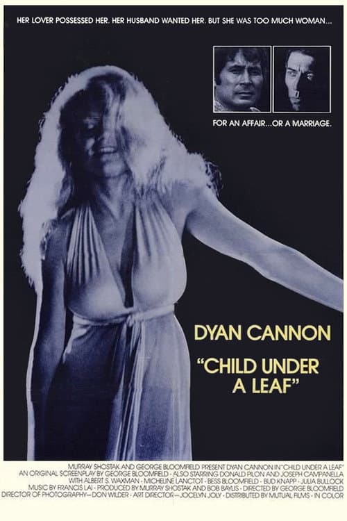 Child Under a Leaf poster
