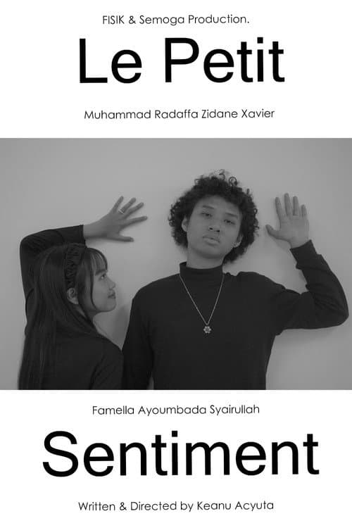 Le Petit Sentiment poster