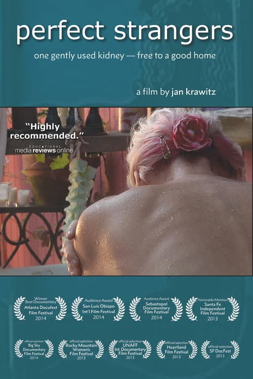 Perfect Strangers poster