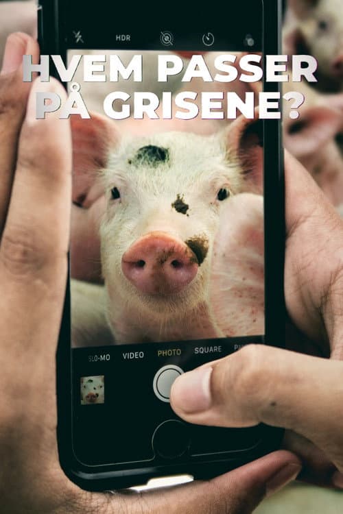 Hvem passer på grisene? poster