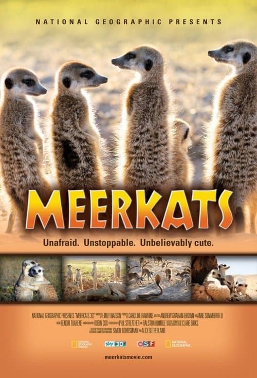 Meerkats 3D poster