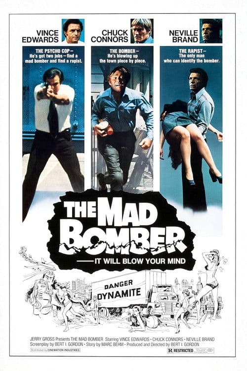 The Mad Bomber poster