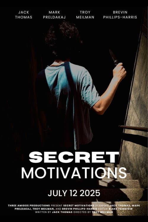 Secret Motivations poster