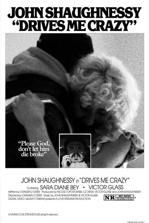 Drives Me Crazy poster