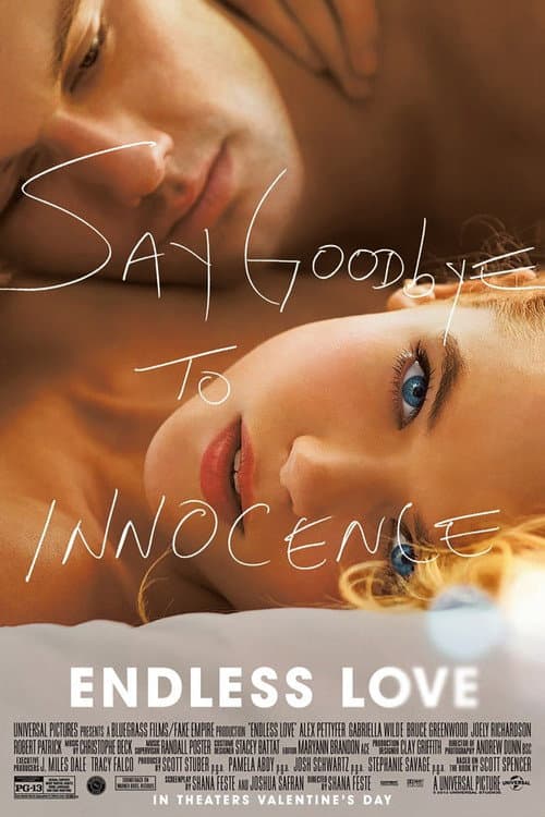 Endless Love poster