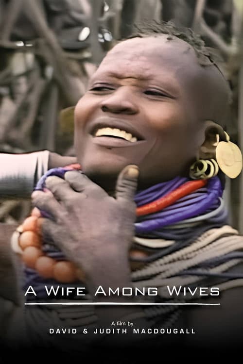 A Wife Among Wives poster