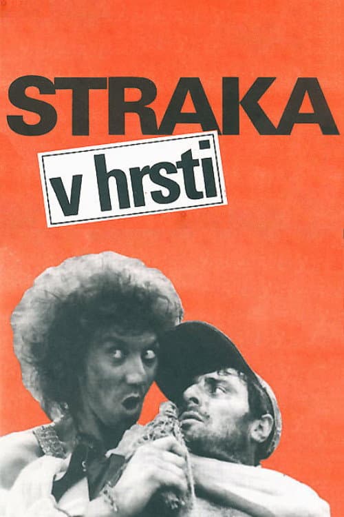 The Magpie in the Wisp poster