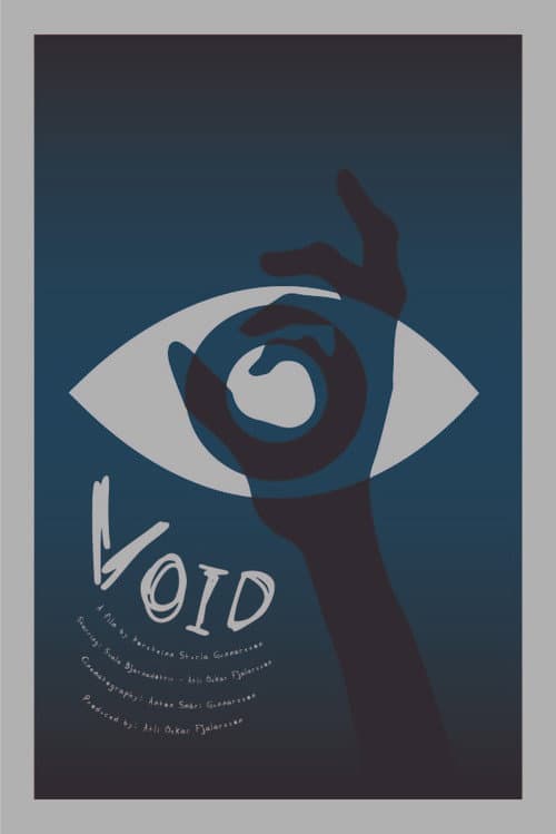 Void poster