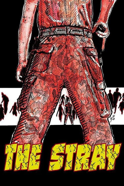 The Stray poster