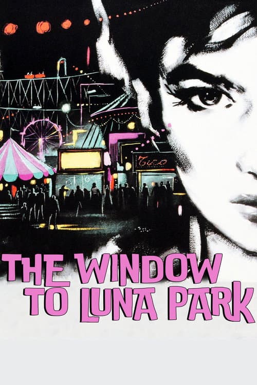The Window to Luna Park poster