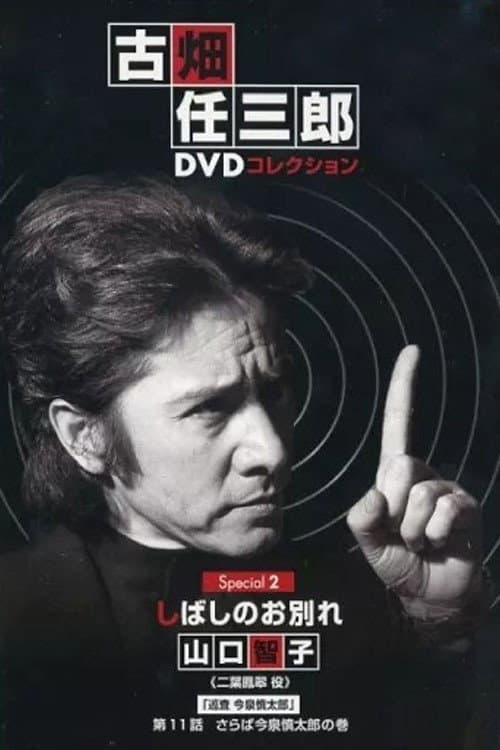 A Brief Parting poster