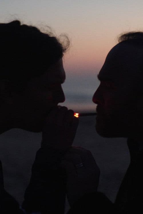 Far from the South poster