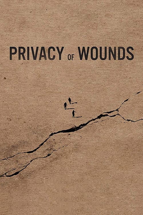 Privacy of Wounds poster