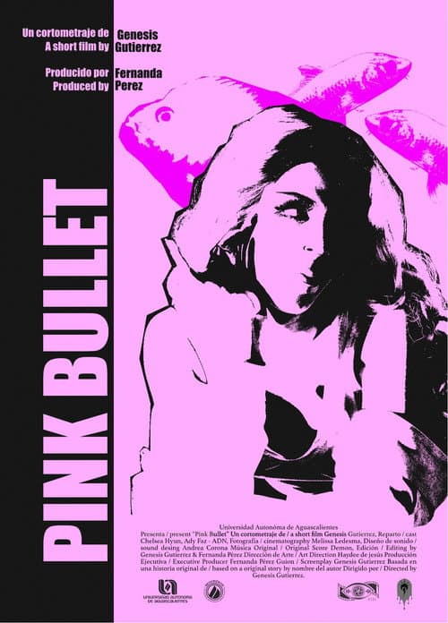 Pink Bullet poster