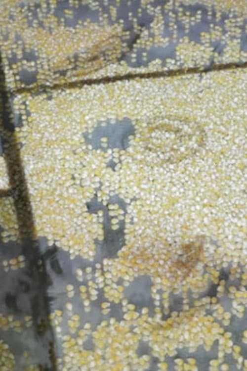 Who Is Afraid of Ideology? Part 3 Micro Resistances poster