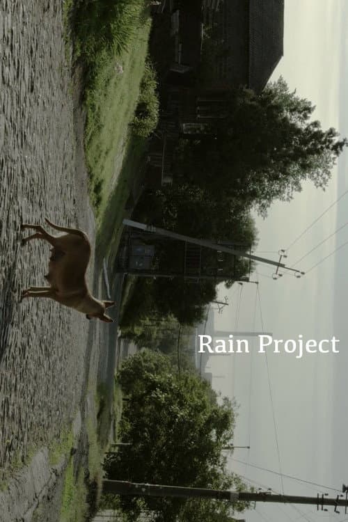 Rain Project poster