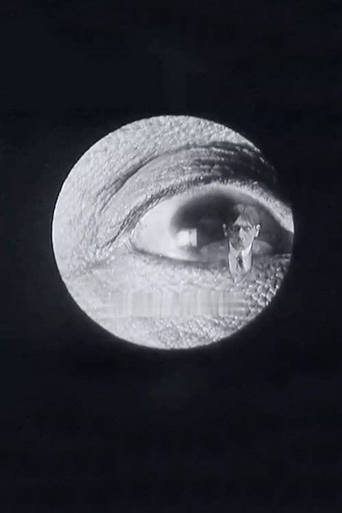 Doctor Mitchoff's Discovery poster