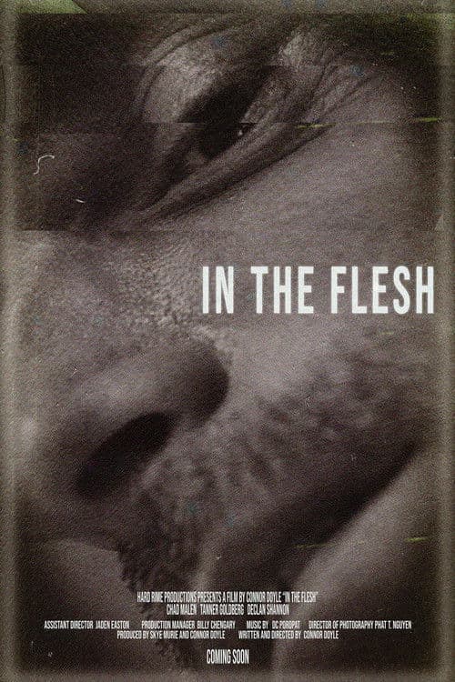 In the Flesh poster