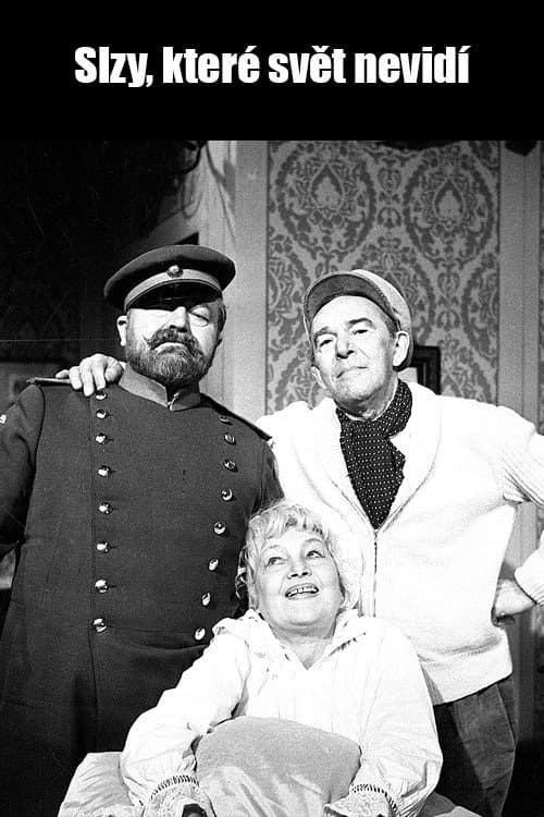 Tears the World Can't See poster