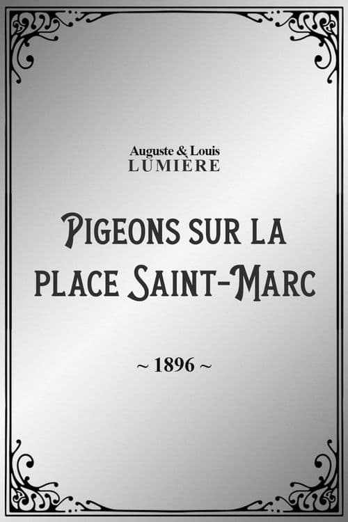 Pigeons sur la place Saint-Marc poster