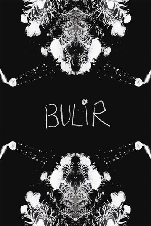 BULIR poster