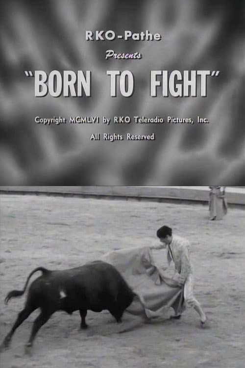 Born to Fight poster