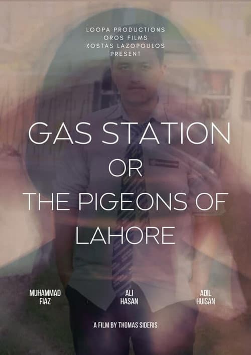 The Pigeons of Lahore poster